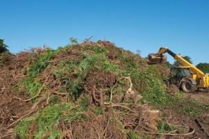 8e71932f-f278-4370-9d87-c7e8d8b91fe5-768x512