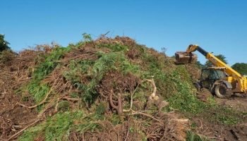 8e71932f-f278-4370-9d87-c7e8d8b91fe5-768x512